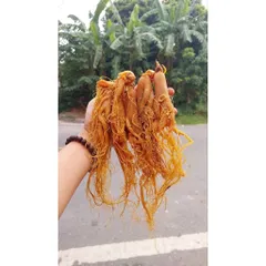 Hồng sâm sấy dẻo, hàng vụ mới đẹp quá, khách mua rồi toàn quay lại  mua tiếp 🍁 . Ưng quá luôn !loại 1