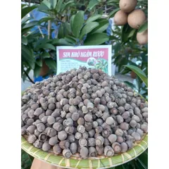sim rừng khô tự nhiên loại 1