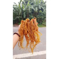Hồng sâm sấy dẻo, hàng vụ mới đẹp quá, khách mua rồi toàn quay lại  mua tiếp 🍁 . Ưng quá luôn !loại 1