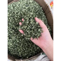 Nụ Hoa Tam Thất Khô, Thảo Dược Tự Nhiên, An Thần, Ngủ Ngon, Hỗ Trợ Huyết Áp Bồi Bổ Sức Khỏe 857480