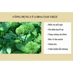 Nụ Hoa Tam Thất Khô, Thảo Dược Tự Nhiên, An Thần, Ngủ Ngon, Hỗ Trợ Huyết Áp Bồi Bổ Sức Khỏe 857480