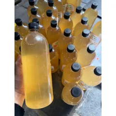 GIẤM TÁO MÈO RỪNG