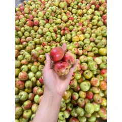 combo 10kg Táo Mèo Rừng Mù Căng Chải Tây Bắc