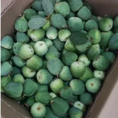 Quả Trâu Cổ(tươi) 1kg