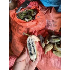 chuối hạt rừng tây bắc