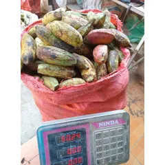 chuối hạt rừng tây bắc