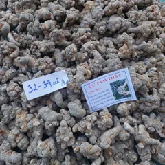 Củ Tam Thất Khô 32-34 Củ 1kg