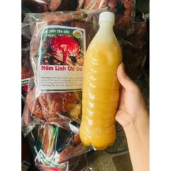 Nấm linh chi, Nấm nguyên cây thảo mộc truyền thống giúp thải độc tăng miễn dịch hỗ trợ tiêu hóa làm đẹp da 857509