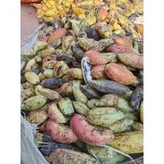 chuối hạt rừng tây bắc