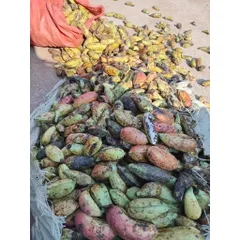 chuối hạt rừng tây bắc