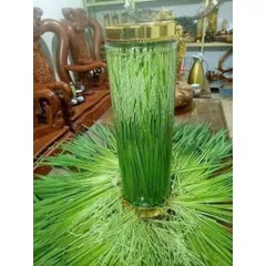 Đòng đòng lúa nếp hút chân không, 5kg Đòng tươi nguyên liệu tự nhiên hương vị truyền thống