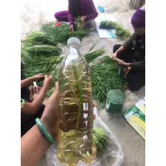 Đòng đòng lúa nếp hút chân không, 5kg Đòng tươi nguyên liệu tự nhiên hương vị truyền thống