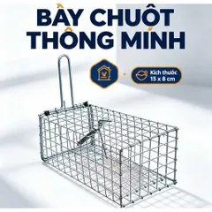 10 Bẫy chuột thông minh sử dụng gia đình