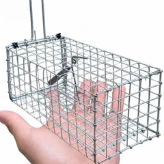 10 Bẫy chuột thông minh sử dụng gia đình