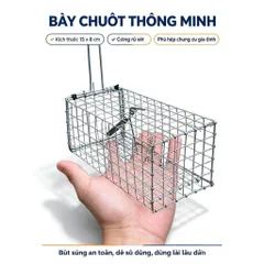 10 Bẫy chuột thông minh sử dụng gia đình