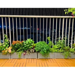 Chậu nhựa composite trồng cây hình chữ nhật D80 R30 C30 chậu trồng cây ngoài trời độ bền cao