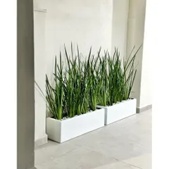 chậu nhựa composite trồng cây ban công, sân vườn chậu nhiều kích thước