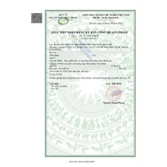 Viên giảm viêm đại tràng cấp và mãn tính Đại Tràng Tâm Bình (5 vỉ x 12 viên) 858828