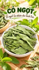 CỎ NGỌT – VỊ NGỌT TỰ NHIÊN CHO LY TRÀ HẰNG NGÀY 🍵