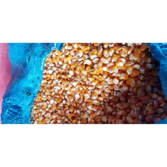 1kg bắp bột, ngô nghiền