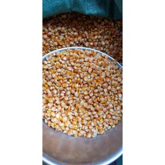 1kg bắp bột, ngô nghiền