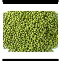 1 kg đậu xanh nguyên hạt  làm giá đỗ, rau mầm