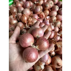 Hành khô - Hành khô 1 nhánh, hành cô đơn (túi 1kg)