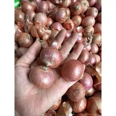 Hành khô - Hành khô 1 nhánh, hành cô đơn (túi 1kg)