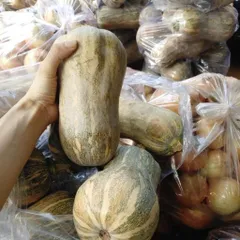 [Giao Hà Nội]  5 Kg Bí Đỏ Hồ Lô