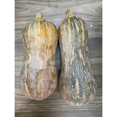 [Giao Hà Nội]  5 Kg Bí Đỏ Hồ Lô