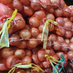 5kg Hành tây nguyên củ trắng, sạch, tươi mới