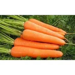 2kg Cà Rốt tươi ngon, rau củ quả tươi. trồng tự nhiên