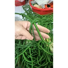 10 Mét Dây dù tròn màu xanh 4li có độ bền cao, chịu lực tốt