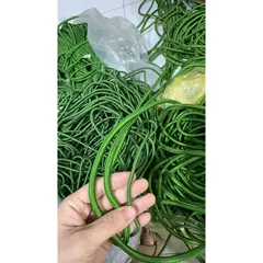10 Mét Dây dù tròn màu xanh 4li có độ bền cao, chịu lực tốt