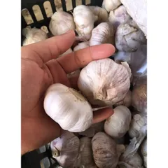 Tỏi khô Loại 1 - Tỏi Thơm Ngon Túi 1 Kg