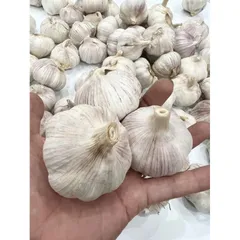 Củ Tỏi To Chắc Loại 1 - Tỏi Thơm Ngon Túi 1 Kg 860312
