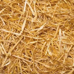 Trấu khô sống túi 1kg