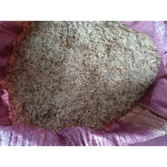 Trấu khô sống túi 1kg
