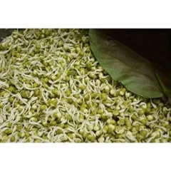 1kg Đậu xanh (đỗ xanh) nguyên vỏ