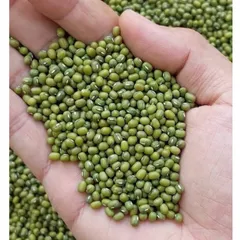 1kg  đỗ xanh hạt nhỏ làm giá đỗ