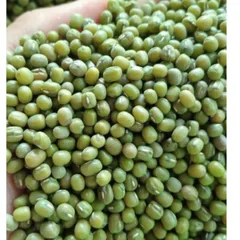 1kg  đỗ xanh hạt nhỏ làm giá đỗ