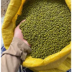 1kg  đỗ xanh hạt nhỏ làm giá đỗ