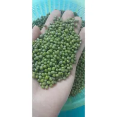 1kg  đỗ xanh hạt nhỏ làm giá đỗ