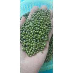 1kg  đỗ xanh hạt nhỏ làm giá đỗ