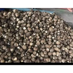 Khoai sọ loại ngon, bở và rất dẻo( đóng gói 1kg)
