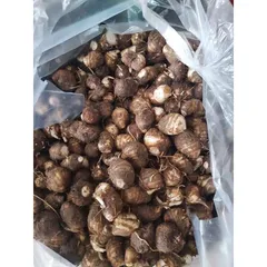 Khoai sọ loại ngon, bở và rất dẻo( đóng gói 1kg)