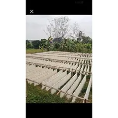 Bún khô sợi nhỏ mỳ gạo nguyên chất dai ngon 1kg