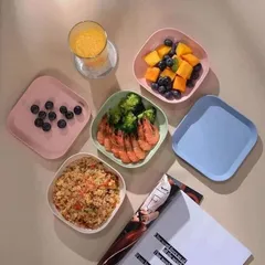 BỘ 8 ĐĨA LÚA MẠCH SIÊU XINH