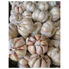 Tỏi To chắc loại 1- Tỏi thơm ngon loại 1kg