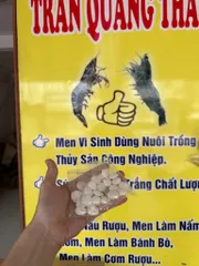 Men Cơm Rượu Trần Quang Thái - Tỷ Lệ Thành Công Cao, Không Lo Bị Chua, Chuẩn Vị Truyền Thống